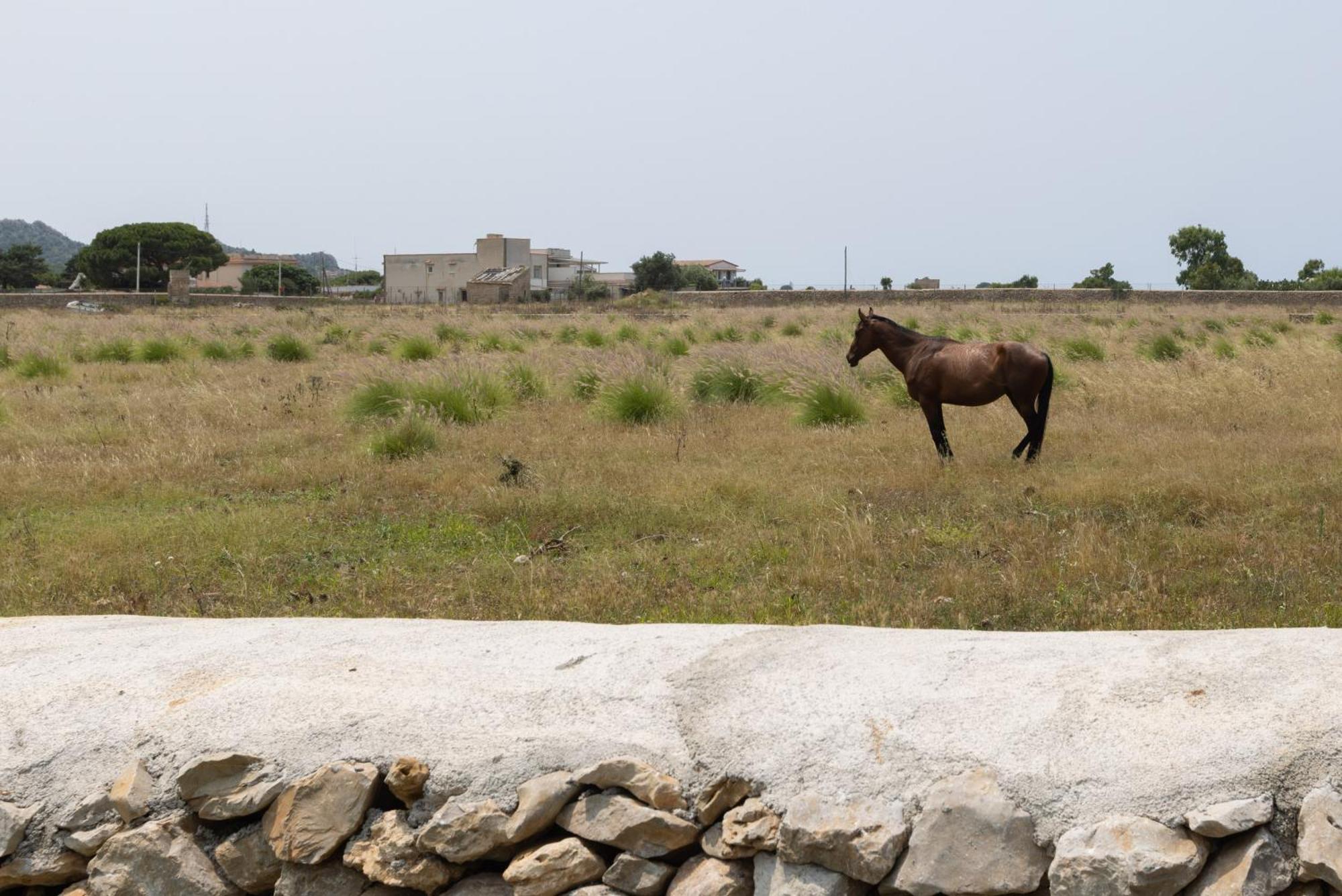 Sweet Sicily Apartments คารินิ ภายนอก รูปภาพ